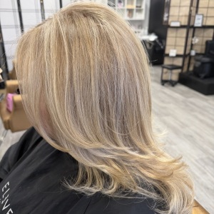 Award winning Fairfield county salon